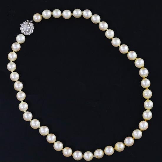 A single strand cultured pearl choker necklace with white gold? and diamond cluster set clasp, approx. 38cm.